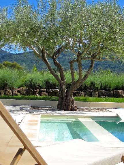 Beautiful gardens, surrounded by olive trees and vineyards